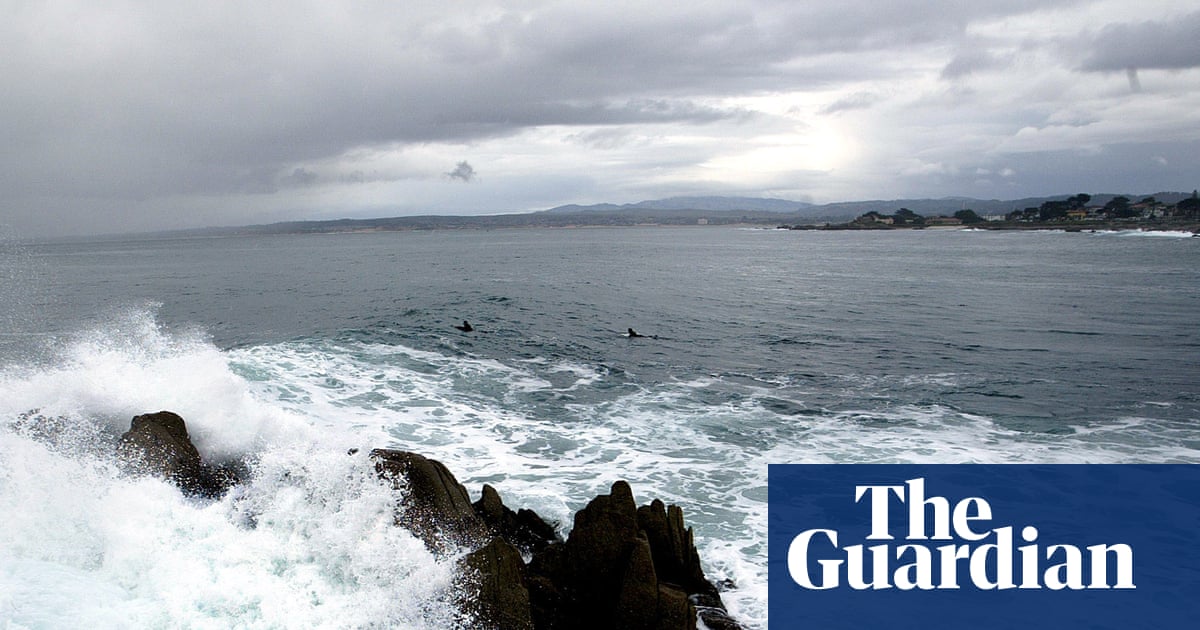 Body of triathlete apparently killed by shark found on California beach