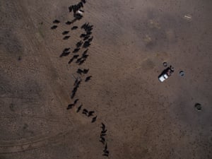 The Cameron family fill feed bins on their property north of Augathella, Queensland.