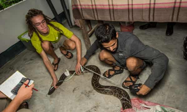 I Don T Want To Imagine A World Without Giant Snakes In It