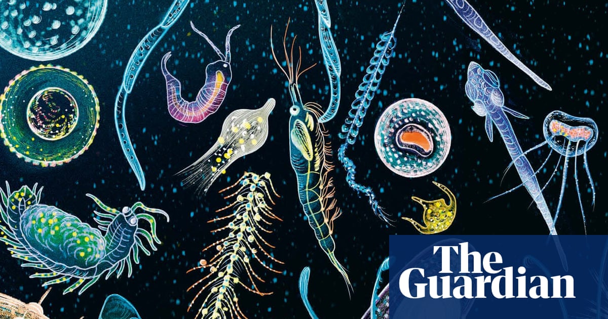 Children and teens roundup  the best new picture books and novels