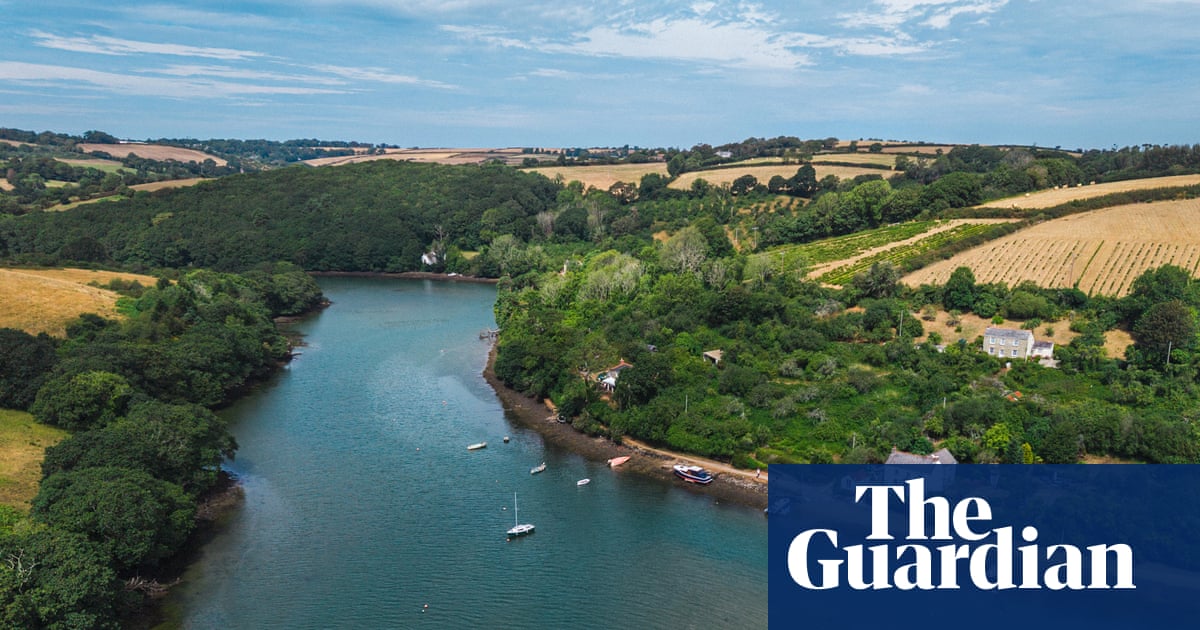 ‘It’s the unseen pollution’: how getting farmers, fishers and beavers together could save a Cornish river