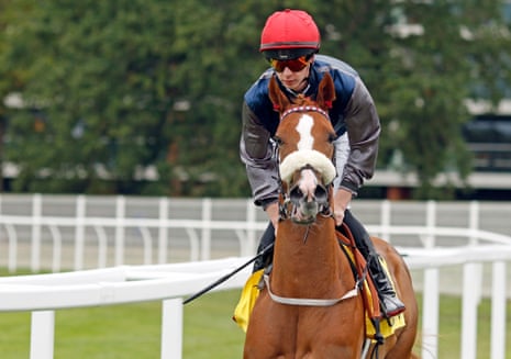 Miss Yechance with Jack Nicholls up after winning the Dubai International Airport World Trophy at Newbury in September.