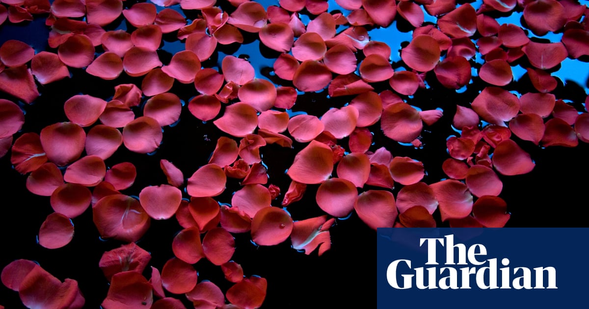 Poem Of The Week In The Rose Garden By Helen Tookey Books The