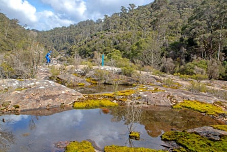 Wide shot of a mountain biker, dressed in a blue outfit and helmet, in a landscape of mountains, tall trees and a creek in Derby, north-east Tasmania