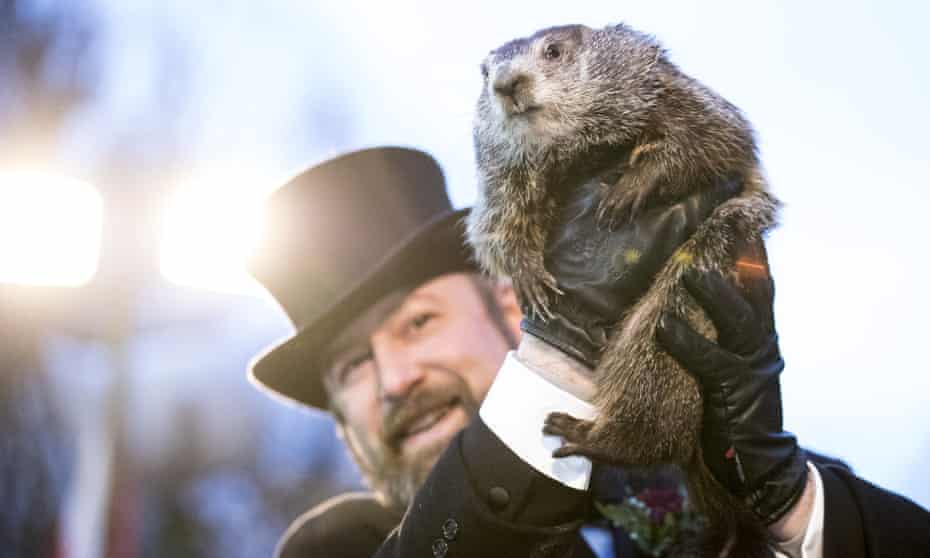 “Punxsutawney Phil” Makes Annual Winter Prediction On Groundhog Day.