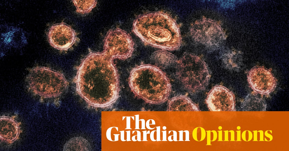Is the Covid pandemic finally nearing its end? | Aris Katzourakis - The Guardian