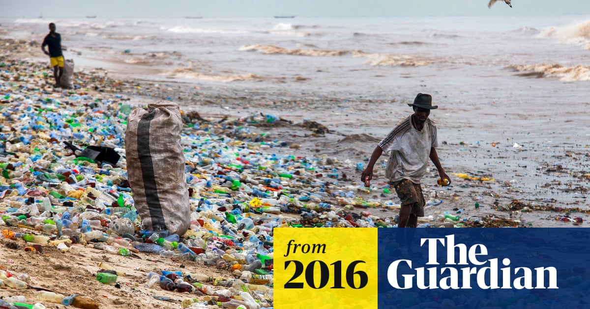Scientists call for better plastics design to protect marine life