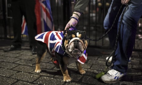 A dog wearing a Union Jack outfit