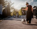 Walking French BulldogWalking dog obesity