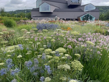 The garden at Vitra Design Museum in Germany.