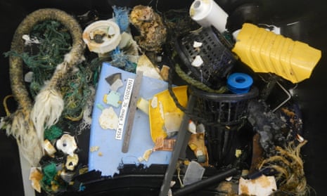 ocean cleanup trawl samples