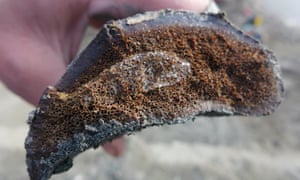 A sample of frozen bone is found after researchers excavated it from the Liscomb Bed in the Prince Creek Formation near Nuiqsut, Alaska.