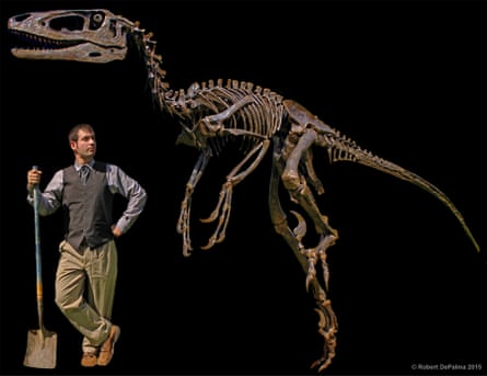 A replica of a Dakotaraptor skeleton.
