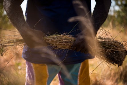 Herbe spinifex récoltée du pays de Wilinggin. Celui-ci sera réduit en cendres puis utilisé pour fabriquer une substance ressemblant à de la colle à mouler sur l'embouchure d'un didgeridoo.