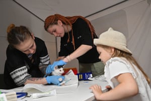 A girl watches veterinarian workers examining a kitten