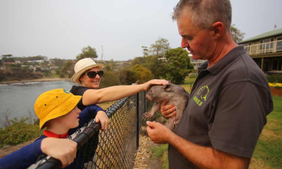 Turning to your local community for support is a vital way to help protect your mental health during crisis. WIRES Mid South Coast wombat coordinator Tony De La Fosse educates passersby about an orphaned pouch-rescued Wombat at his property in Malua Bay, South of Sydney, Wednesday, January 15, 2020. (AAP Image/Steven Saphore) NO ARCHIVING