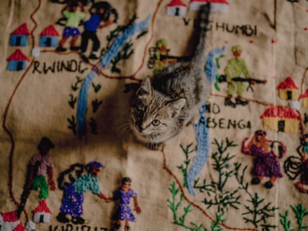 A kitten looks up at the camera from a embroidered artwork showing soldiers with guns and civilians.