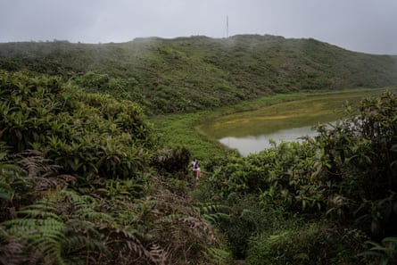 a grass and a lake on foggy day