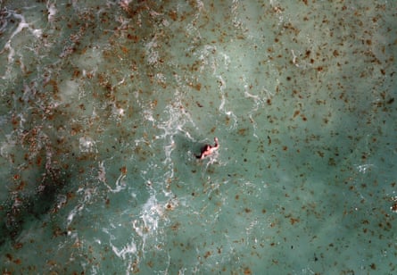 A man swims while surrounded by Sargassum off a beach in Cancun, Mexico, in June.