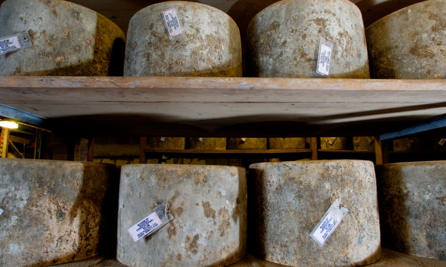 Racks of traditional farmhouse Cheddar cheeses at Westcombe.