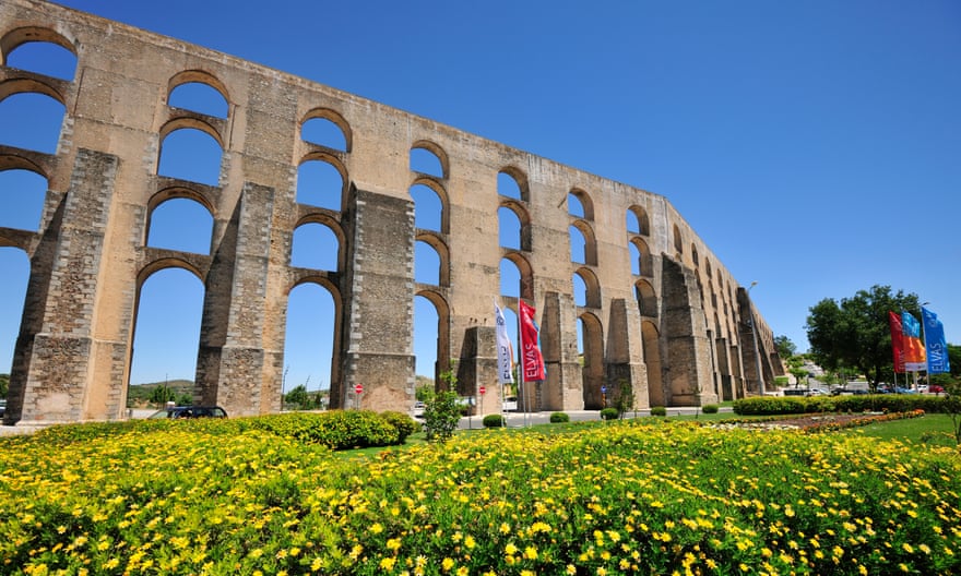 Aqueduct of Amoreira with four floors with small flowers on the grass in the foreground