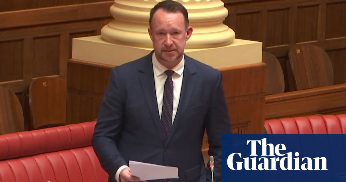 South Australian MP Proposes Abortion Law Changes