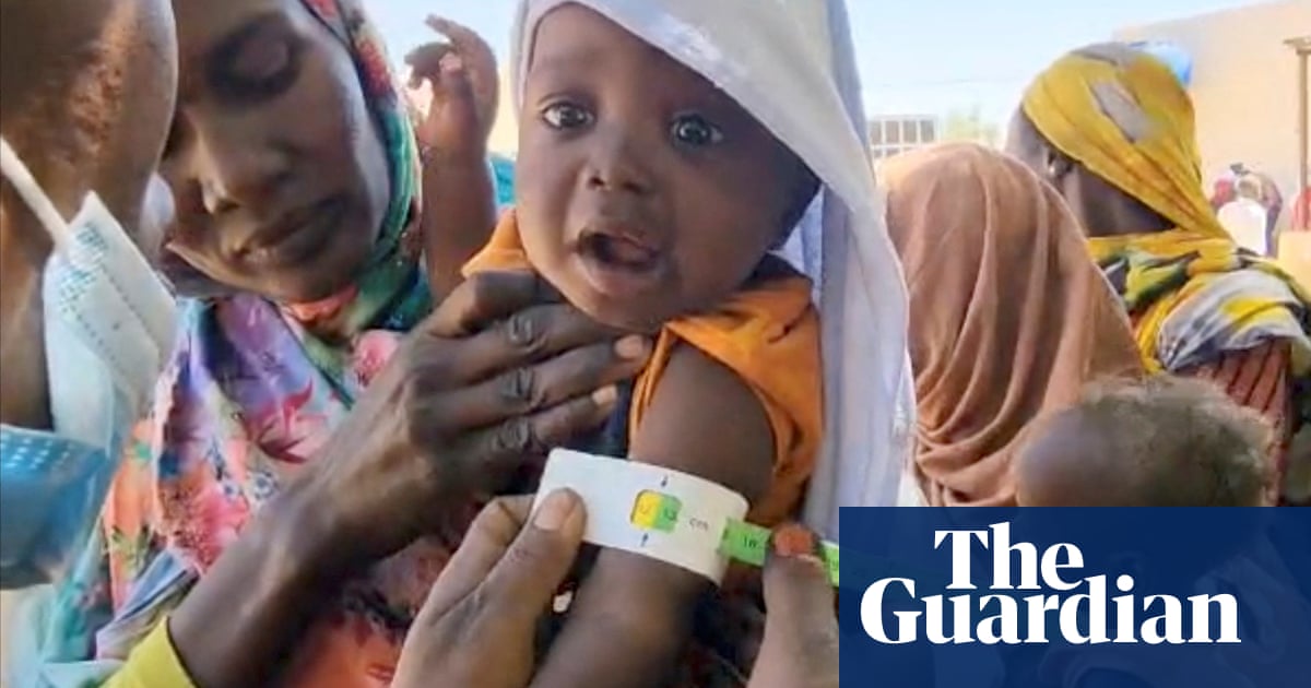 Sudan in world's largest humanitarian crisis' after two years of civil war