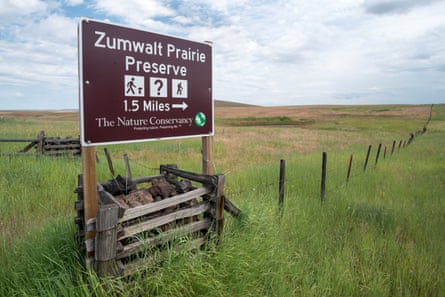 The Zumwalt supports key populations of raptors, songbirds, bees, butterflies and rare native plants, as well as elk herds and other wildlife.