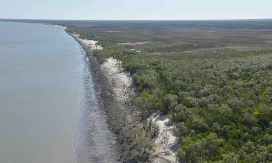 Aerial view of damaged mangroves