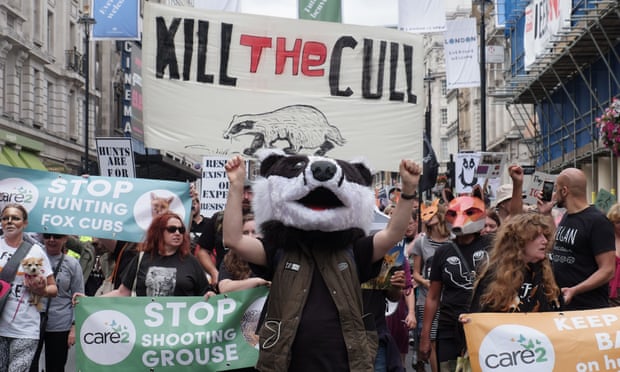 Protest against badger culling and fox hunting in central London this month.
