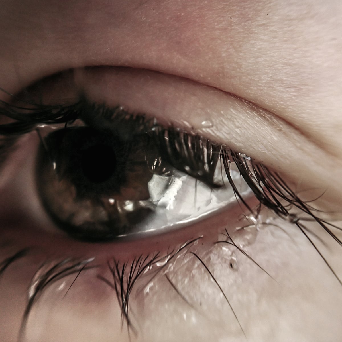 For crying out loud: Dutch scientists grow human tear glands