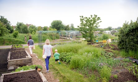 Golden Hill community garden in Bristol