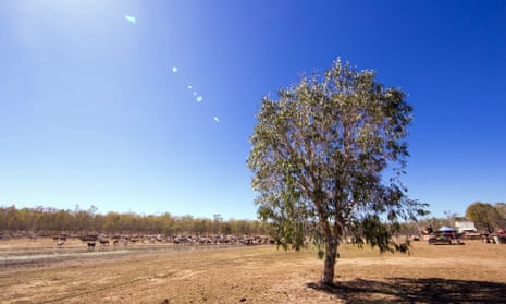 Traditional Olkola land in north Queensland