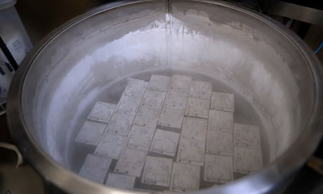 FILE - In this Tuesday, Oct. 2, 2018 photo, containers holding frozen embryos and sperm are stored in liquid nitrogen at a fertility clinic in Fort Myers, Fla. The Alabama Supreme Court ruled, Tuesday, Feb. 20, 2024, that frozen embryos can be considered children under state law, a ruling critics said could have sweeping implications for fertility treatments. The decision was issued in a pair of wrongful death cases brought by three couples who had frozen embryos destroyed in an accident at a fertility clinic. (AP Photo/Lynne Sladky, File)