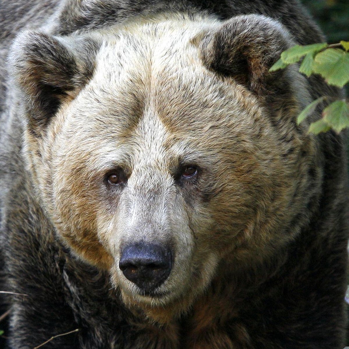 44lixk33jigjmm 44lixk33jigjmm