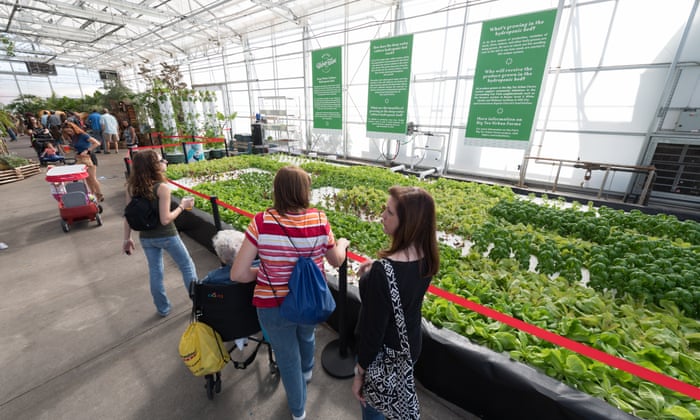 Fresh Free And Beautiful The Rise Of Urban Gardening World