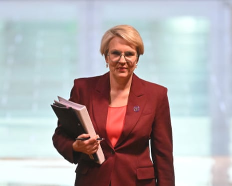 Social services minister Tanya Plibersek