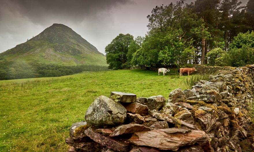 A view of Mellbreak from near Loweswater.