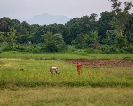 Two people stand in what appears to be a paddy field with trees behind