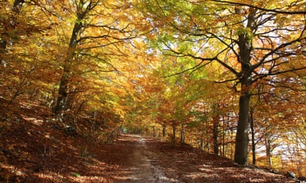The Monte di Mezzo reserve in autumn
