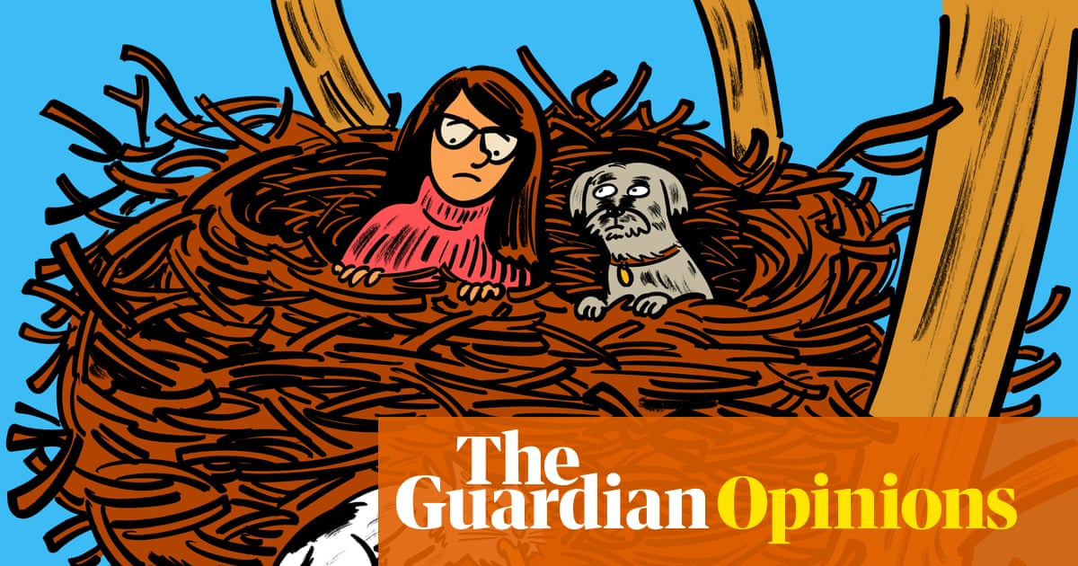 My kids gave me enough material to write TV comedy. Where will the jokes come from now they've left? | Helen Serafinowicz