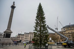 A Christmas tree, an annual gift of gratitude from Norway for Britain’s help in the second world war, is erected in Trafalgar Square in London, UK