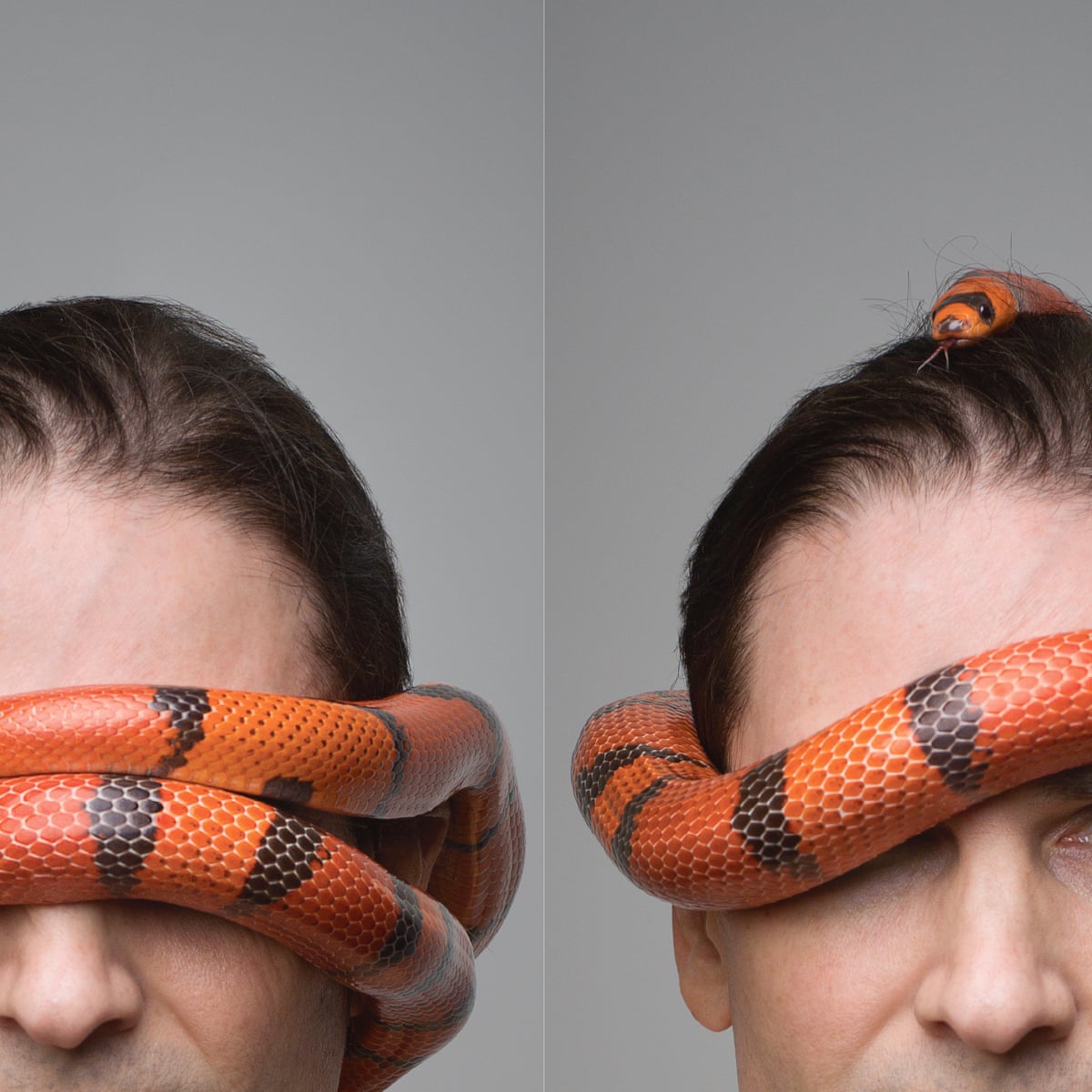 Poison Pass The Man Who Became Immune To Snake Venom Snakes The Guardian Poison Pass The Man Who Became Immune To Snake Venom Snakes The Guardian