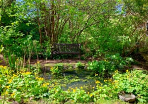 Bench and pond in the Barbican wildlife garden