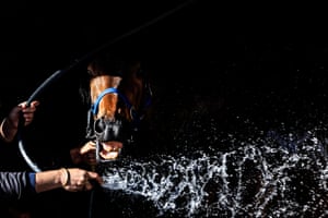 A horse is hosed during the barrier trials at Rosehill Gardens in Sydney on 6 September.