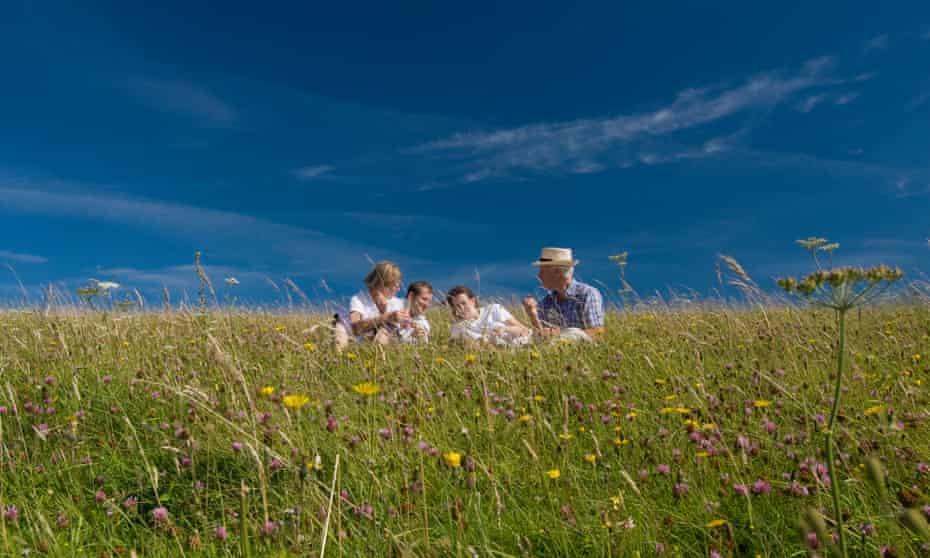 A picnic in a wild meadow on the South Downs, England.