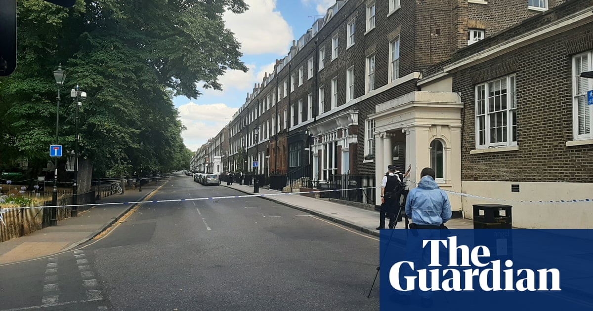 Teenage boy dies after stabbing in north London park