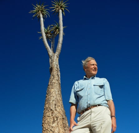 David Attenborough beside to Giant aloe (Aloe pillansii) South Africa, on location for BBC series Private Life of Plants, 1993