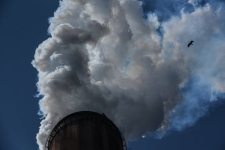 A black bird flies next to billowing white fumes from a power plant against a dark blue sky