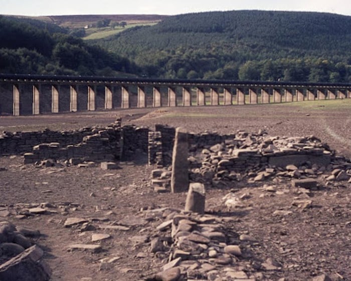 Empty reservoirs, ladybirds and sunstroke: remembering the UK heatwave of 1976